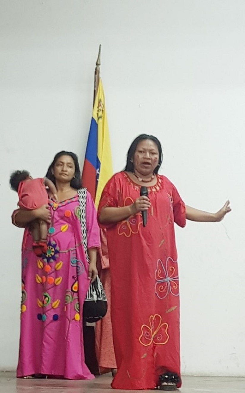 VENEZUELA INDIGENA1